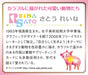 APPLEONE Jigsaw Puzzle 500-240 Friendly Concerto 500 Pieces- Japan Figure Store - #1 Bring To You The Best Japanese Goods