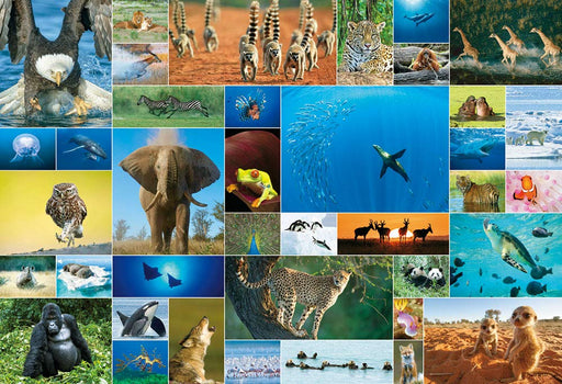 Beverly 83-097 Jigsaw Puzzle Life Of Animals (300 Pieces) Animal Paper Puzzle- Japan Figure Store - #1 Bring To You The Best Japanese Goods